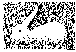 Un canard ou un lapin