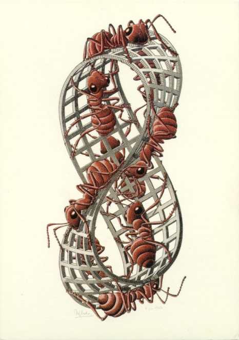 Escher : fourmis (possible!)
