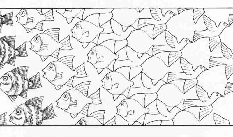 Poisson (autre)