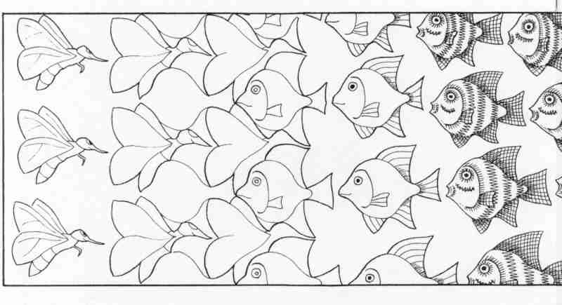 Moustique / poisson (autre)