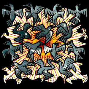 Oiseaux