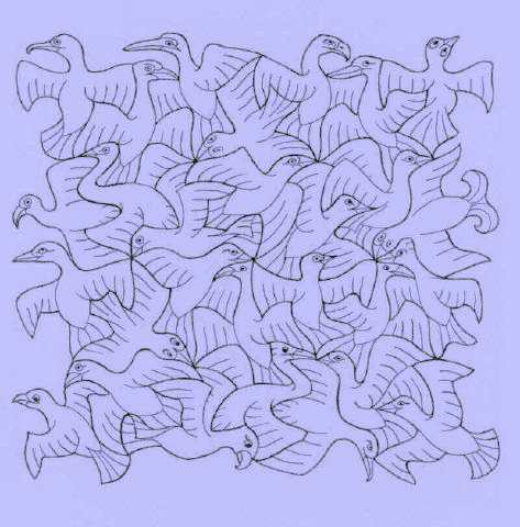 Oiseaux (autre)