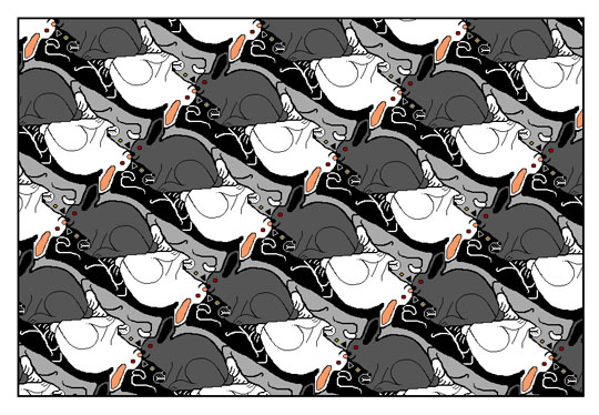 Lapin / chat
