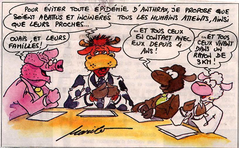 Anthrax animaux
