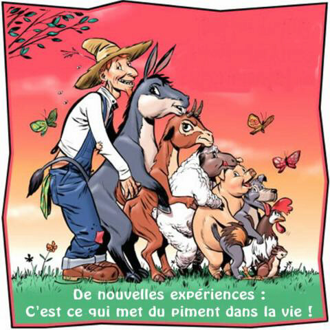 Nouvelles expériences