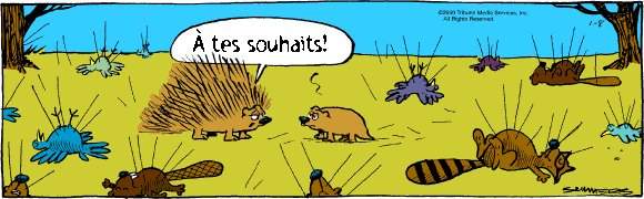 &Agrave; tes souhaits