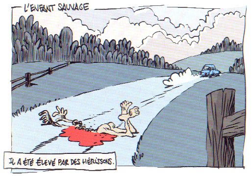 L'enfant sauvage