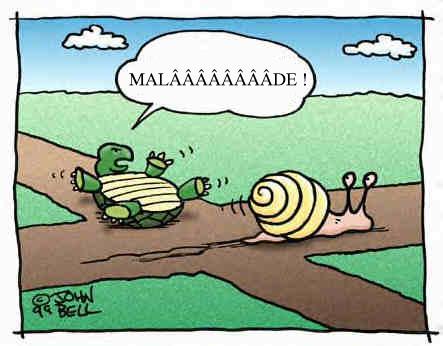Mal&acirc;&acirc;&acirc;&acirc;&acirc;&acirc;de&nbsp;!