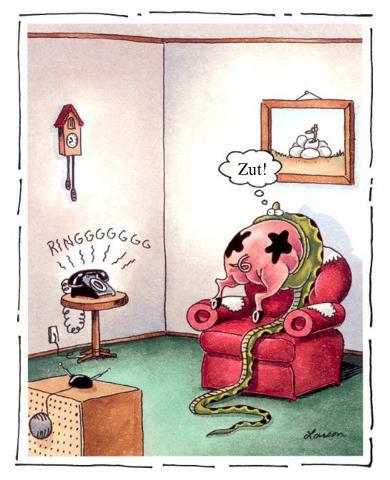 Maudit t&eacute;l&eacute;phone