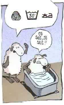 Moutons au bain