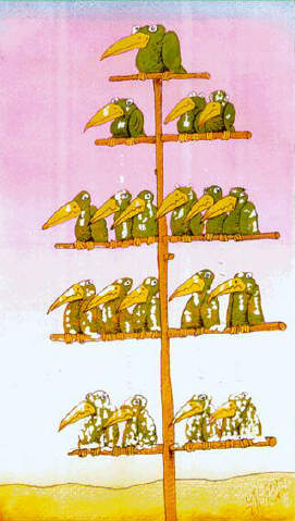 Hierarchie