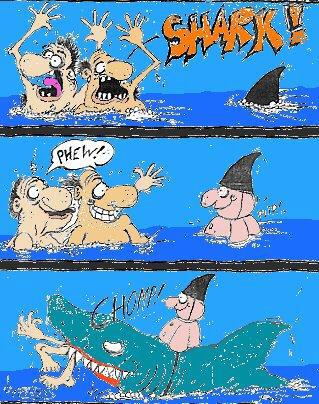 Piège de requin