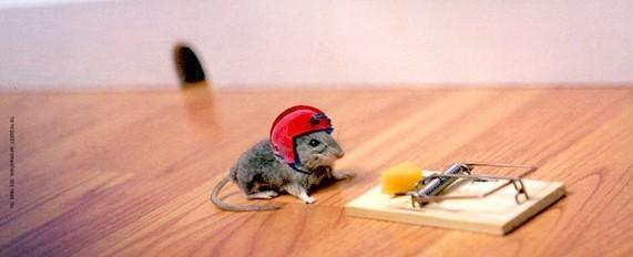 Souris casque
