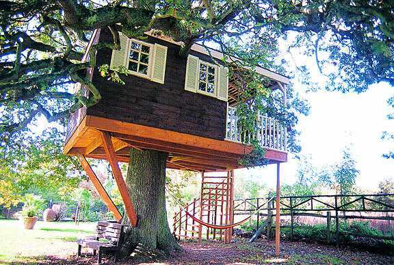 Arbre dans la maison